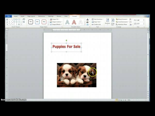 free blank business flyer templates image picture info free resume