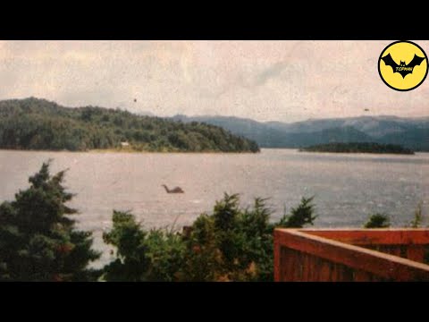 Vidéo: Y A-t-il Un Monstre Dans Un Lac Géorgien? - Vue Alternative