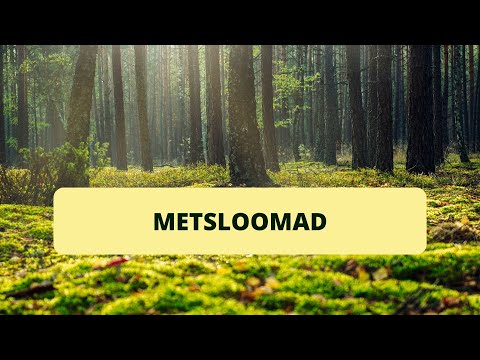 Video: E3: Viimne Kaardivägi On Metsloom