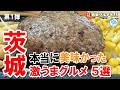 【茨城グルメ】茨城県で本当に美味しかったご飯 5選 ラーメン/ハンバーグ/デカ盛り/エビフライ イチオシ看板グルメ875 #飲食店応援 1981