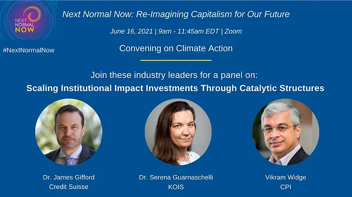 Scaling Institutional Impact Investments through C...