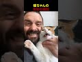 猫ちゃんの奇跡のタイミングで、なんとも可愛すぎる