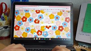 Ecosystem Experts -Project Based Lesson Plan