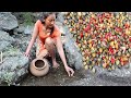 Finding Shell To cook on the Rocks Use the heat of the Sun for Dinner - Food my village Ep 6