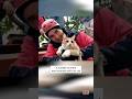 Cat and College Student Rescued From Earthquake Rubble #shorts