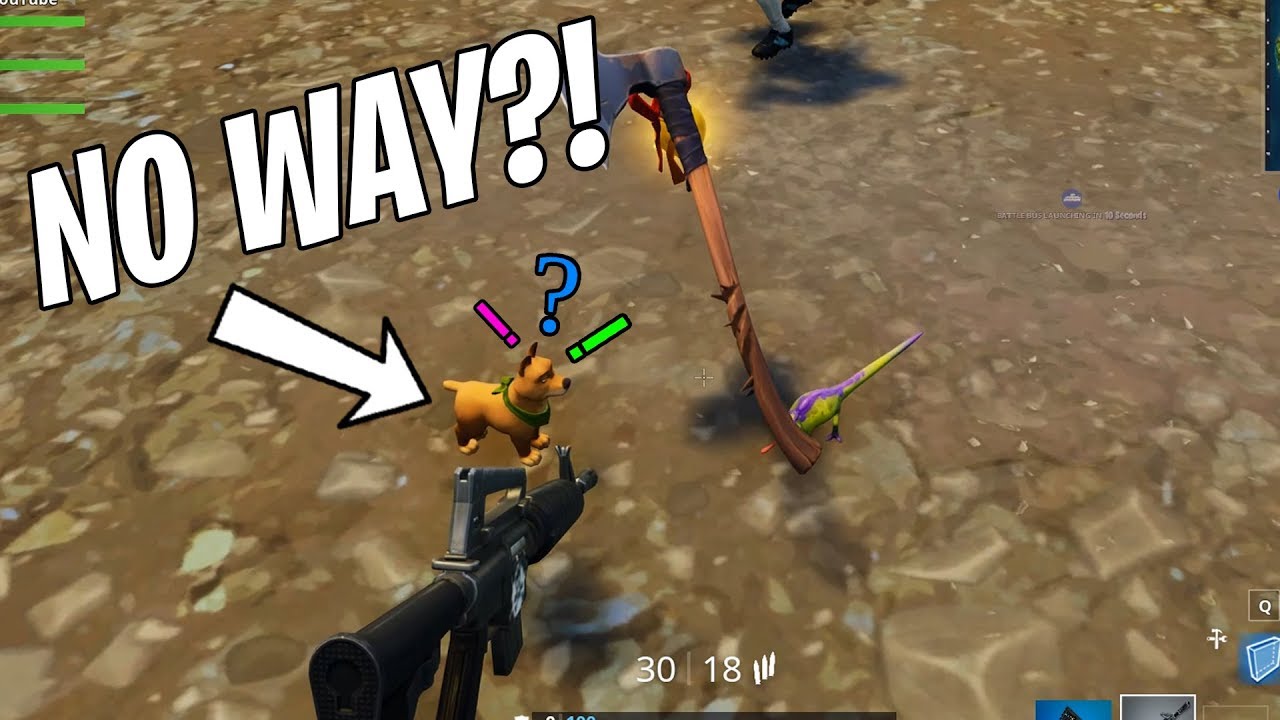 PLAYABLE PETS!? With Landon and Tasty Fortnite Mods Battle Royale