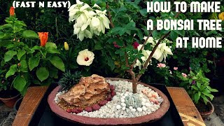 How to Make a Bonsai at Home (FAST N EASY)