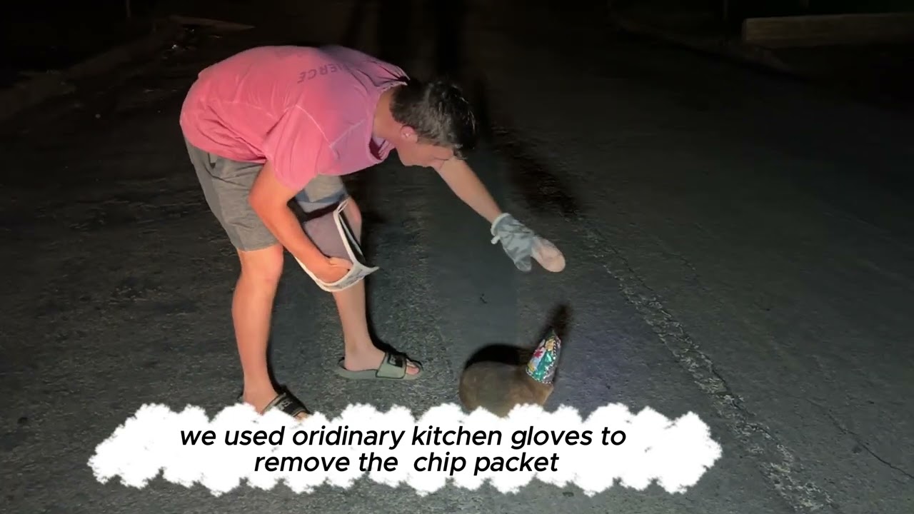 Easy animal rescue? Plastic bags can kill!