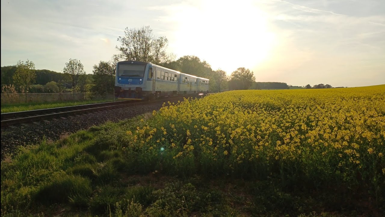 Os 5521 u Dobrovodských rybníků