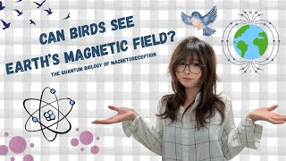 Quantum Magnetoreception: Can Birds See Earth’s Magnetic Field | Breakthrough Junior Challenge 2026