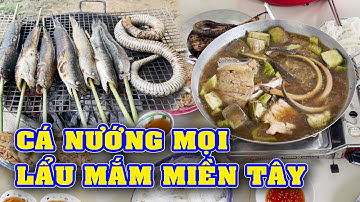 Bắt Cá Bắt Rắn Nướng Mọi, Lẩu Mắm Đồng Miền Tây Đãi Anh Em Ghé Thăm/Ẩm Thực Miền Tây/NGÃ NĂM TV