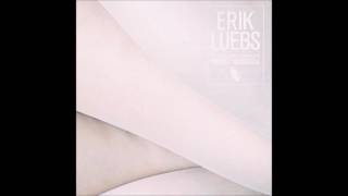 Erik Luebs - Losing It