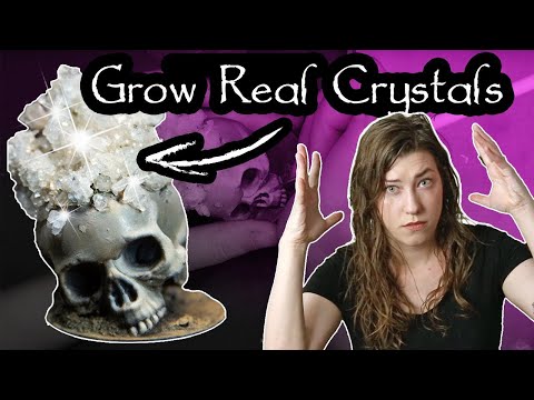 Grow Real Crystals For Your Terrain! Borax Crystal Skulls for D&D