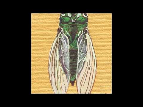 Zach Bryan - Cicada