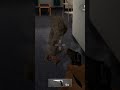 Endless Nightmare Weird Haspital horror game chapter 2 zombie king aspataal mein zombie marij baitha