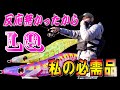 【エギング】透明布の反応が凄い！eging squid