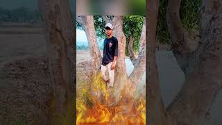तेगे rollback DJ bzhdhbxcn zmnclcxz zglc
