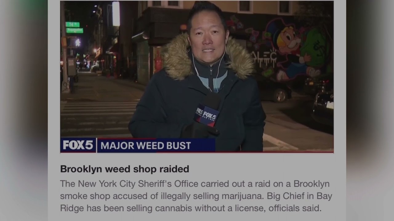 BROOKLYN, NY PUB NOV 17, 2022, ILLEGAL WEED SHOP RAIDED IN BROOKLYN, NEW YORK!