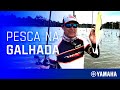 Como pescar em local que possui galhada - Dica Yamaha com Johnny Hoffmann