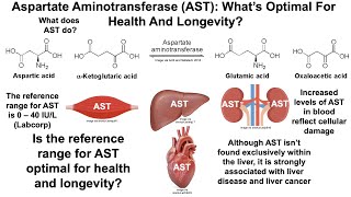 Aspartate Aminotransferase: What's Optimal, And Can It Be Improved?