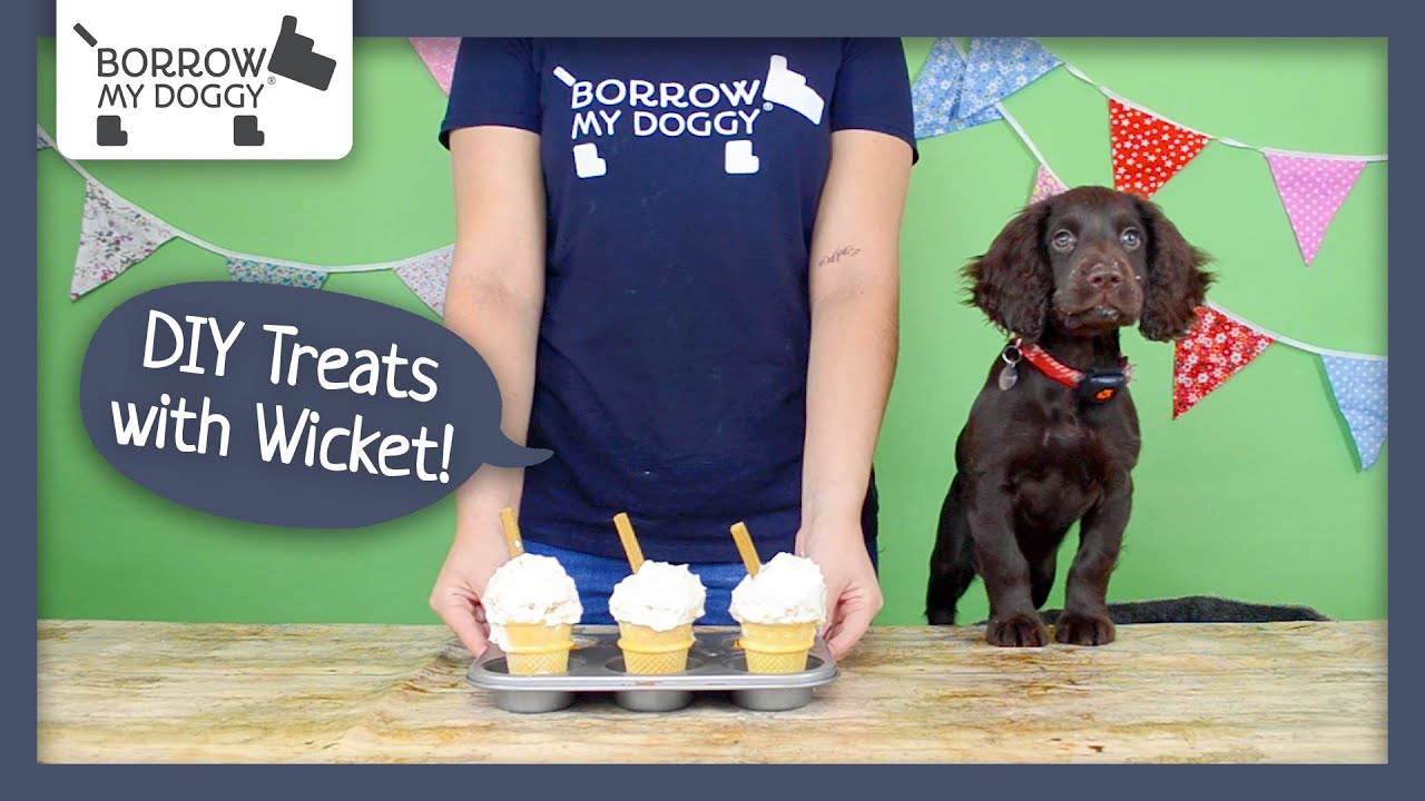 DIY Illusion Dog Treats with Wicket the Puppy! Recipaws 1 YouTube