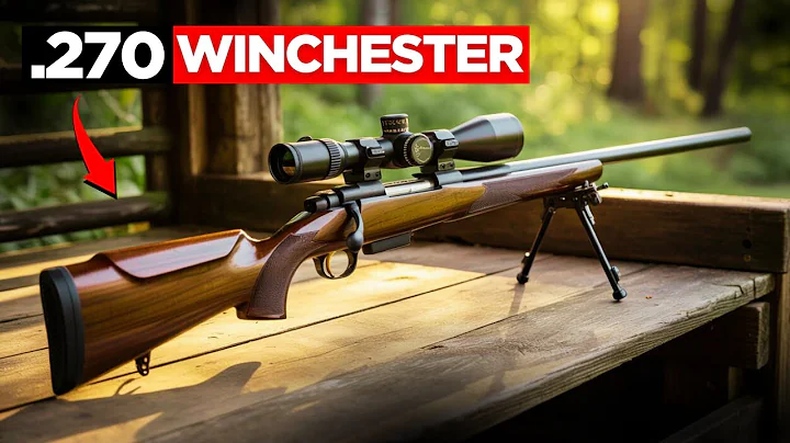 Top 10 Best .270 Winchester Bolt Action Rifles 2025