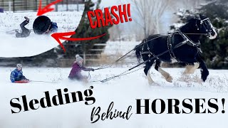We're SLEDDING Behind HORSES!