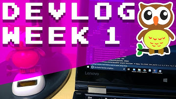 Indie Game Devlog - WEEK 1 | Multiplayer and Entity Component System!