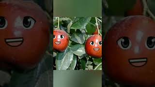 Cute AI Animation for kids#Talkingmirch #AIAnimation /Ai Animation Lab2