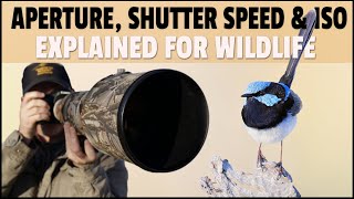 Aperture, Shutter Speed & ISO Explained for Wildlife Photography  What Settings to Use for Wildlife