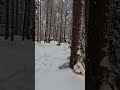 13 января 2023 г.