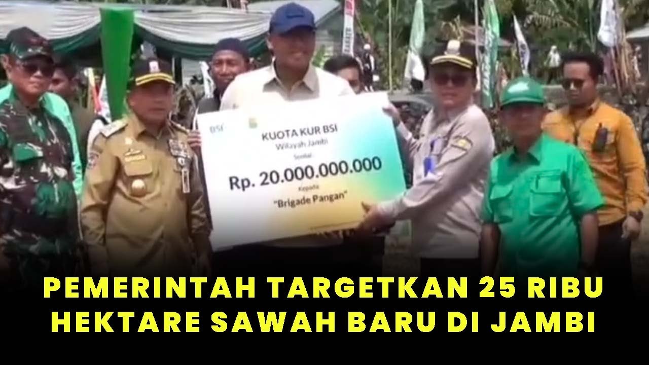 Pemerintah Targetkan Pembukaan 25 Ribu Hektare Sawah Baru di Jambi ...