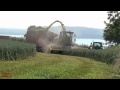 Whole Crop Silage.  My First, and a John Deere 7850