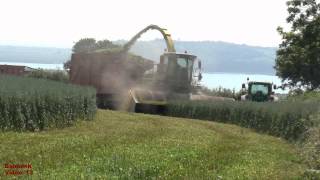 Whole Crop Silage.  My First, and a John Deere 7850