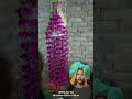 #comedy #funny #fun #song #sajaungalutkarbhiterebadankida #nayenawelidulhanparpehledin #bhojpurisong