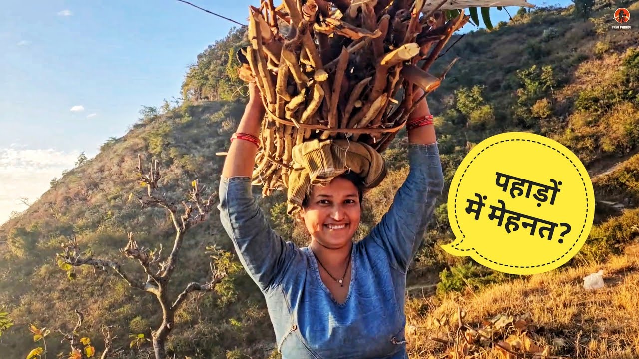 सर्दियों में लगातार लकड़ी ढोने का काम😭पूरे साल के लिए Village Lifestyle Vlog by.@yashpahadiofficial 