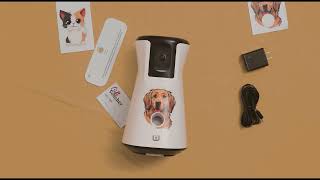 Introducing WaggleCam 2.0! Your Pets' Constant Companion | Waggle