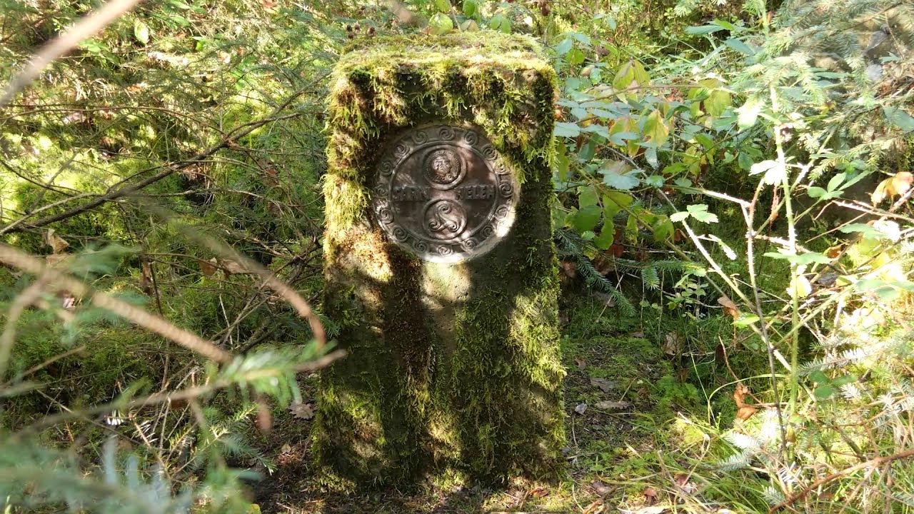 Making the Best of it