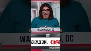 Elon Musk s Role in Government Chaos or Clarity