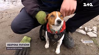 Господарі Патрона розраховували на іншу долю для свого улюбленця