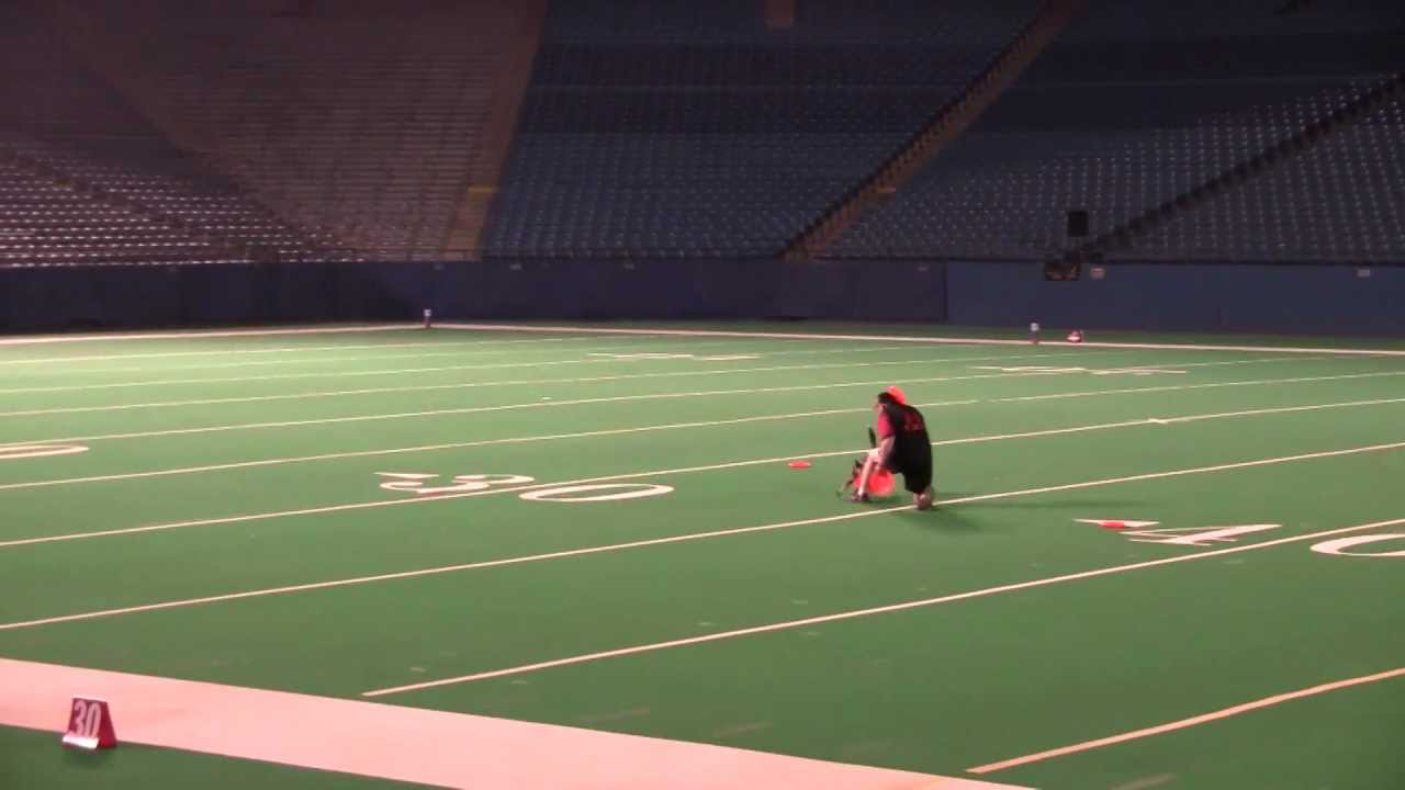 Disc Dogs of Michigan