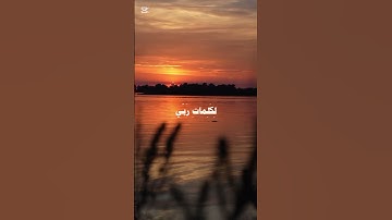 تلاوة خاشعة للشيخ علي جابر #علي_جابر #قرآن #قرآن_كريم