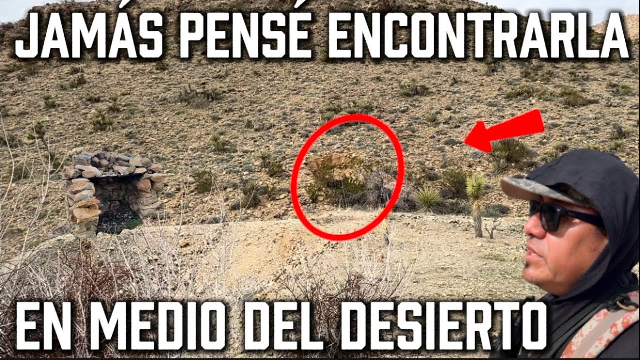 Jamás pensé encontrarla en medio del desierto 😱