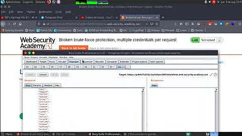 Broken brute-force protection, multiple credentials per request