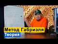 Метод Габриэля. Перегонка зерновых и фруктовых браг. Теория