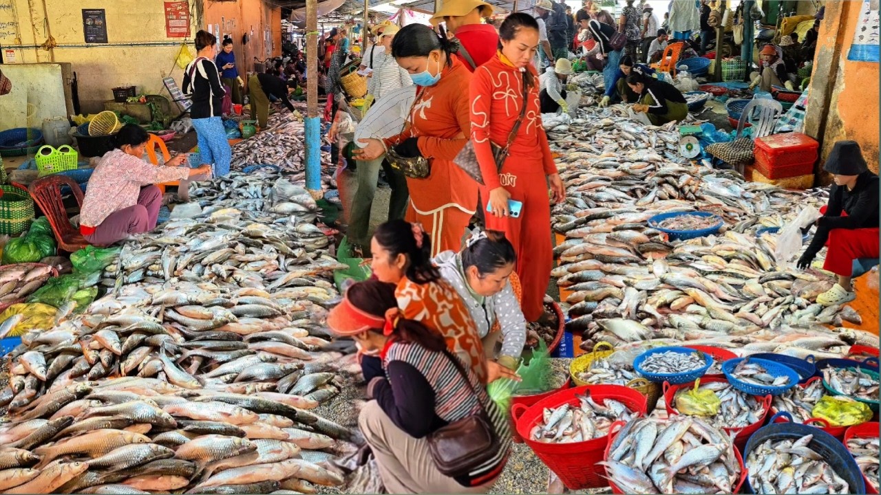 ផ្សារពន្លៃថ្ងៃនេះត្រីនៅតែសម្បូរ 26/02/26 || TAT SOKKΕΑ - ΚΗ [Ep. 1165]