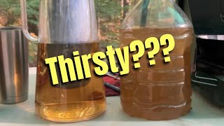 LIFESTRAW water pitcher filter Test/Review