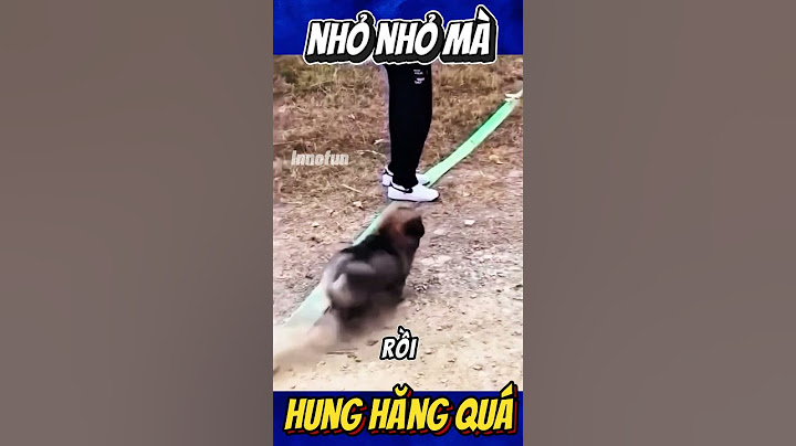Nhỏ Nhỏ Mà Hung Hăng Quá