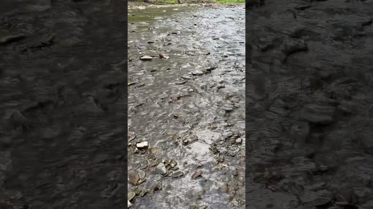 Peaceful day #ytshorts #nature #hiking #music #pinkfloyd #rock #youtuber #subscribe #youtuberlife