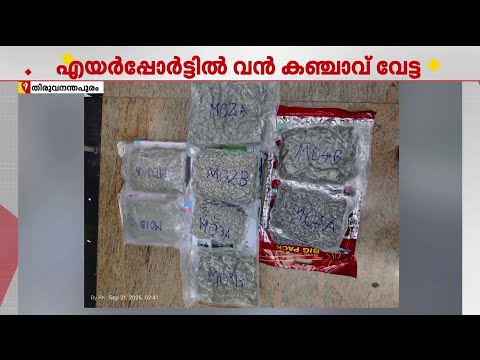 തിരുവനന്തപുരം എയർപോർട്ടിൽ വൻ കഞ്ചാവ് വേട്ട; പിടിച്ചത് 3 കിലോയിലധികം വരുന്ന ഹൈഡ്രോപോണിക് കഞ്ചാ